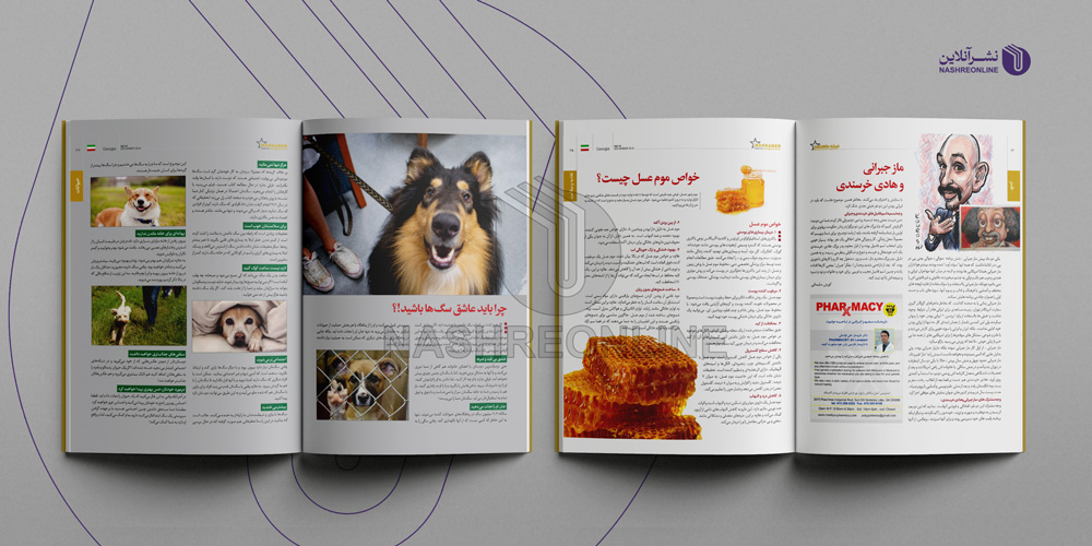نمونه طراحی و صفحه آرایی نشریه فارسی در گرجستان